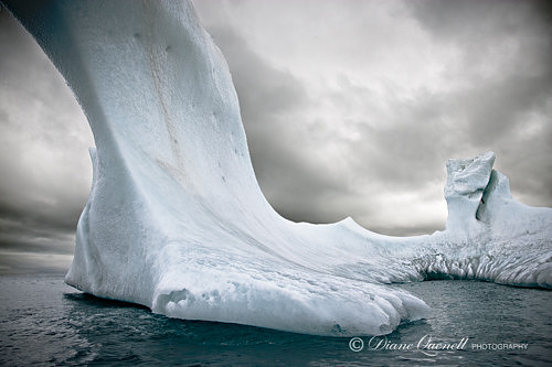 Iceberg,  Scotia Sea