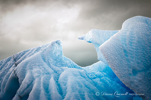Iceberg,  Scotia Sea