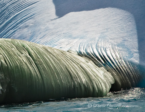 "Green Iceberg #1",  South Georgia