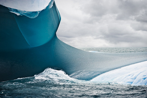 "Crystal Iceberg #3",  South Georgia