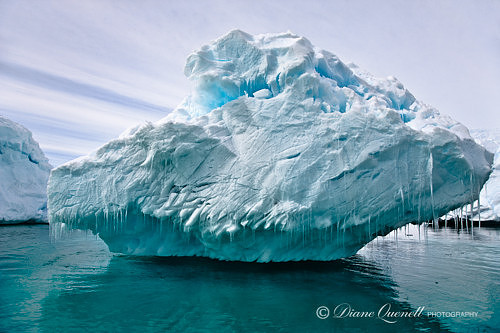 "Floating in Air", Antarctic Peninsula