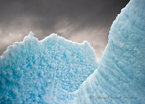 Iceberg,  Scotia Sea