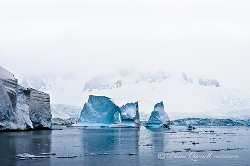 Lemere Channel,  Antarctica