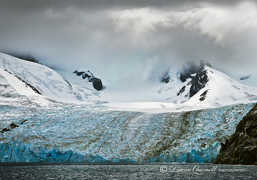 Drygalski Fiord,  South Georgia