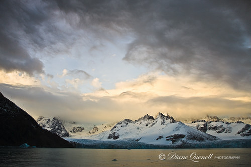 Ross Glacier,  South Georgia