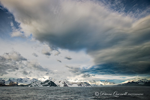 Ross Glacier,  South Georgia