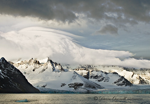 Ross Glacier,  South Georgia