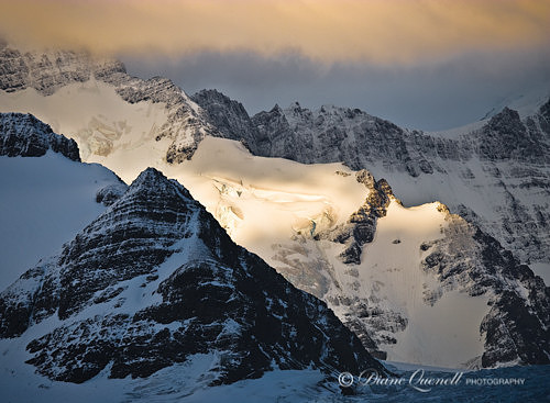 Ross Glacier,  South Georgia