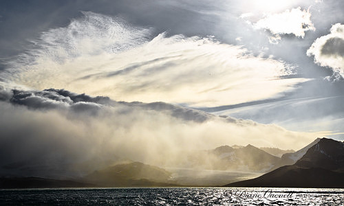 St. Andrews Bay,  South Georgia