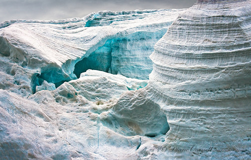 Melchior Islands,  Antarctica