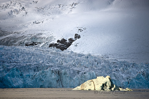 Ross Glacier,  South Georgia