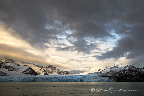 Ross Glacier,  South Georgia