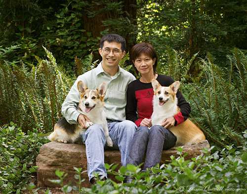 Corgi Family