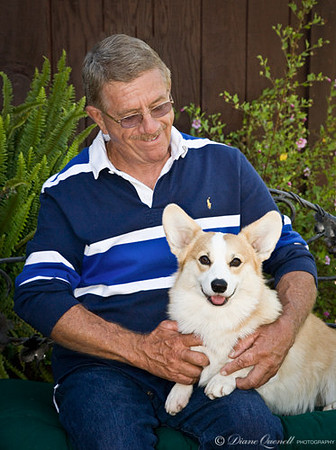 Pembroke Welsh Corgi